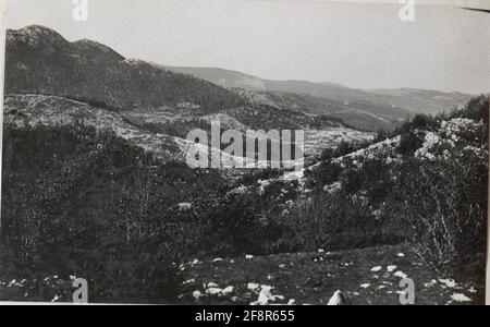 FISIT CANCE IN BAINSIZIZA PLATUARE 23.17. . Stockfoto