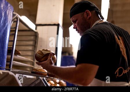 Junger leidenschaftlicher Bäcker berührt und testet Brot in der Bäckerei. Konzept der Leidenschaft und Pflege für ein handgemachtes traditionelles Produkt Stockfoto