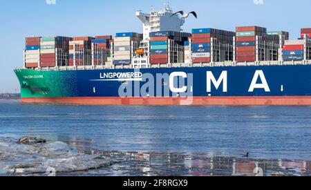 Das LNG-betriebene Containerschiff, das CMA CGM Louvre, an der Elbe in der Nähe der Stadt Hamburg. Schiff verlässt am Sonntag den Hamburger Hafen Stockfoto