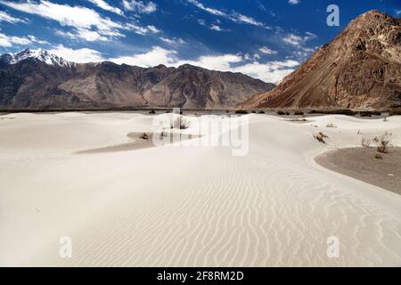 Dünen in Nubra Valley - Ladakh - Jammu und Kaschmir - Indischer Himalaya Stockfoto