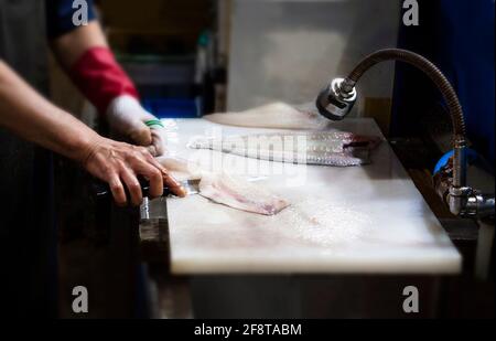 Sashimi man's Hand Stockfoto