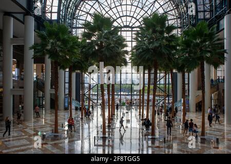 Im Winter Garden Atrium auf der Vesey Street im New Yorker Bürokomplex Brookfield Place, Lower Manhattan, vom Hudson River aus gesehen, New Y Stockfoto