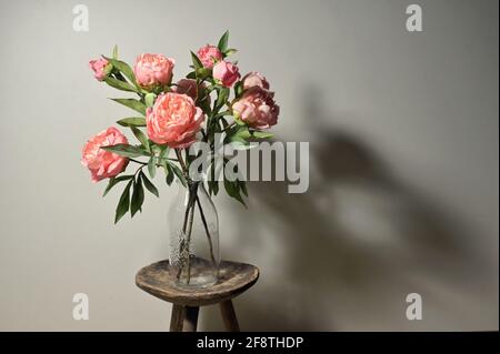 Pfingstrosen Blumen in Vintage Vase und Schatten Stockfoto