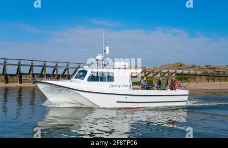 Offshore Procharter P4 Charter-Fischerboot, ein gechartertes Fischerboot auf einem Angelausflug an der Flussmündung des Arun in Littlehampton, West Sussex, Großbritannien. Stockfoto
