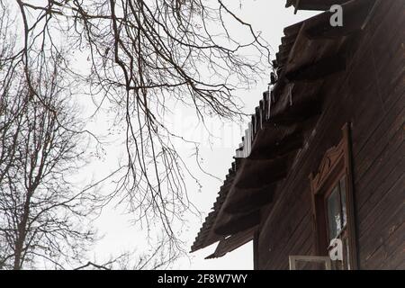 Eiszapfen hängen an einem frostigen, bewölkten Tag vom Dach eines Holzhauses. Vor dem Hintergrund eines grauen Himmels, Äste eines hohen Baumes. Abnormales Wetterkonzept. Neujahr und Weihnachten sind vorbei. Stockfoto