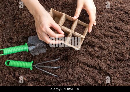 Weibliche Hände in einem karierten Hemd Pflanzen Samen in Torf-Keimtöpfe. Gartengeräte schaufeln, auf dem Boden aufrechen. Weichfokus. Flach liegend Stockfoto