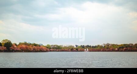 Das Gezeitenbecken, das Lincoln Memorial, das MLK Memorial und die Skyline von Arlington, Washington, DC. Stockfoto