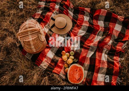 Reisedecke kariert rot kariert kariert im Sommer auf Gras an sonnigen Tag für Picknick. Weidenkorb, verstreute Früchte, reife Äpfel, saftig geschnitten Wassermelone Samen Stockfoto