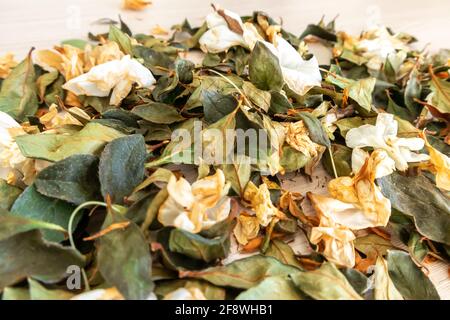 Trockene Blumen Blätter auf Holztisch Draufsicht. Bunte Kräuter Tee flach legen. Florale Textur Hintergrund Homöopathie medizinisch traditionelle Natur Konzept. Weiß-Gold getrocknete Blüten grüne Blätter kopieren Raum. Stockfoto