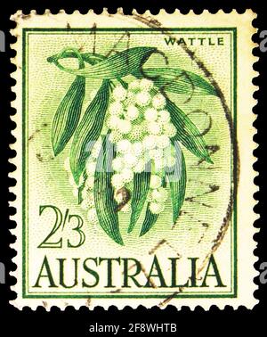 MOSKAU, RUSSLAND - 1. OKTOBER 2019: Die in Australien gedruckte Briefmarke zeigt Wattle, Queen Elizabeth II, Fauna and Flora Serie, um 1959 Stockfoto