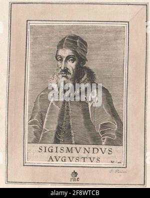Sigismund II. August, König von Polen. Stockfoto