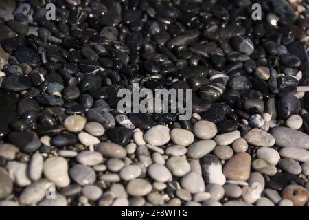 Schwarze und weiße Kiesel am Strand Stockfoto