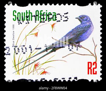 MOSKAU, RUSSLAND - 1. OKTOBER 2019: Die in Südafrika gedruckte Briefmarke zeigt die Blaue Schwalbe (Hirundo atrocaerulea), Tierserie, um 1998 Stockfoto