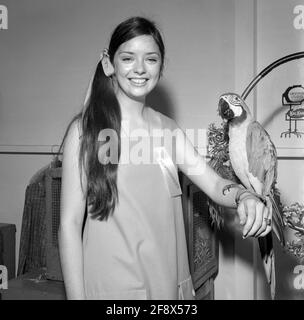 Angela Cartwright um die 1960er-Jahre Credit: Ralph Dominguez/MediaPunch Stockfoto