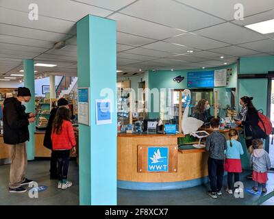 London, Großbritannien. 15th April 2021. Das WWT London Wetlands Centre wurde nach der Schließung von covid19 seit dem 22nd. Dezember 2020 wieder eröffnet. Die Besucherzahlen werden täglich um 700 Uhr (300 Uhr und 400 Uhr) begrenzt. Coronavirus-Vorsichtsmaßnahmen sind vorhanden und sie haben die „Good To Go“-Zulassung von Visit Britain erhalten Stockfoto