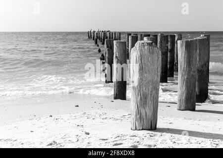 Old Pier Pilings Naples, Florida, Usa Stockfoto