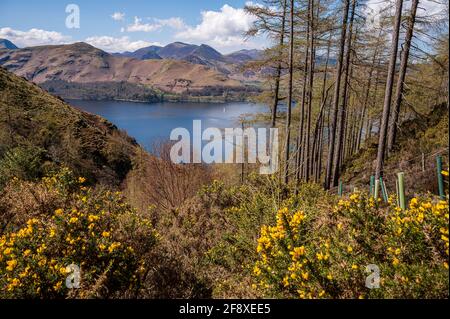 Spaziergänge um Derwent warer Stockfoto