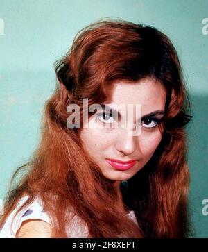 ROSANNA SCHIAFFINO (1939-2009) Italienische Filmschauspielerin um 1965 Stockfoto