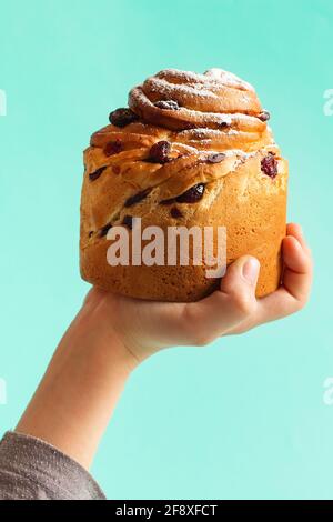 Kinderhand hält Brioche mit kandierten Früchten vor türkisblauem Hintergrund. Osterkuchen - Russische und ukrainische traditionelle Kulich. Paska Stockfoto