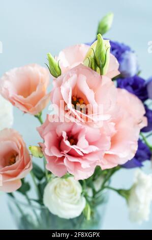 Schöne rosa eustoma Blume (lisianthus) in voller Blüte mit grünen Blättern. Blumenstrauß auf weißem Hintergrund. Weichfokus. Stockfoto