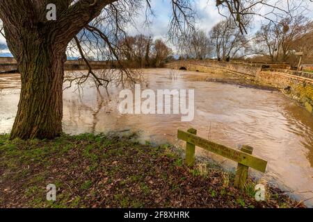 Der stark überflutete Fluss Avon an der Pershore Old Bridge im Winter, Worcestershire, England Stockfoto