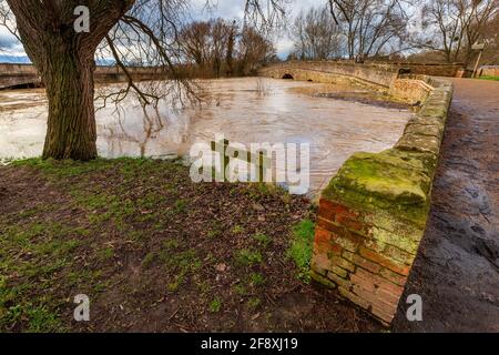 Der stark überflutete Fluss Avon an der Pershore Old Bridge im Winter, Worcestershire, England Stockfoto