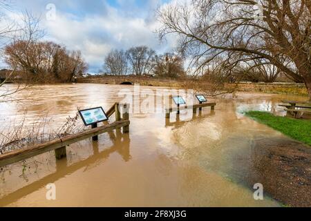 Der stark überflutete Fluss Avon an der Pershore Old Bridge im Winter, Worcestershire, England Stockfoto