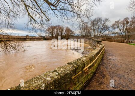 Der stark überflutete Fluss Avon an der Pershore Old and New Bridges im Winter, Worcestershire, England Stockfoto