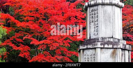 Japanische Ahornblätter in Herbstfarben und Monument, Kodai-in Tempel, Kyoto, Japan Stockfoto