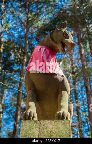 Fushimi Inari Taisha, Steinfuchsstatue in japanischer Religion Shinto-Schrein, Kyoto, Japan. Fuchsgott-Skulptur. Stockfoto