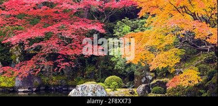 Landschaft mit Bäumen mit Blättern in Herbstfarben, Kodai-in Tempel, Kyoto, Japan Stockfoto