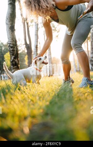 Freizeit des Besitzers mit dem Hundebesitzer russell. Stockfoto