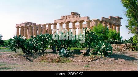 Selinunte.Tempel E, auch Tempel von Hera genannt. Stockfoto