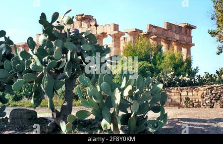 Selinunte.Tempel E, auch Tempel von Hera genannt. Stockfoto