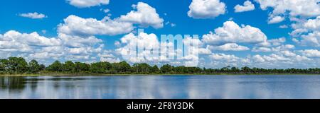 Webb Lake, Fred C. Babcock/Cecil M. Webb Wildlife Management Area, Punta Gorda, Florida, USA Stockfoto