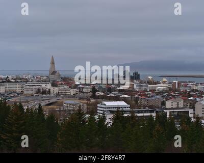 Wunderschöne Stadtansicht der Skyline von Reykjavik Downtown mit berühmten Kirchen Hallgrímskirkja, Gebäuden und kleinen Nadelwäldern im Winter davor. Stockfoto