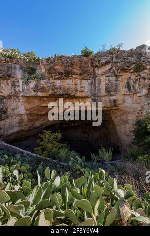 Natürlicher Eingang Pfad, der in die beleuchteten Höhlen des Carlsbad Caverns National Park, New Mexico, USA, führt Stockfoto