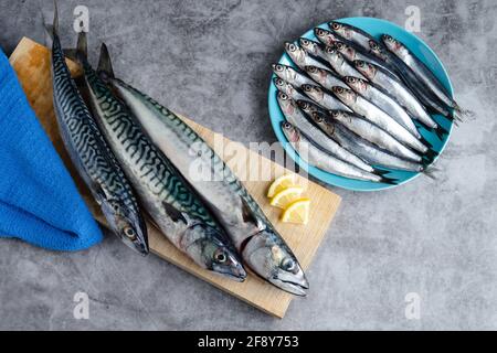 Frischer Fisch auf blauem Teller auf Marmorboden. Speicherplatz kopieren. Konzept für frischen Fisch. Draufsicht. Stockfoto