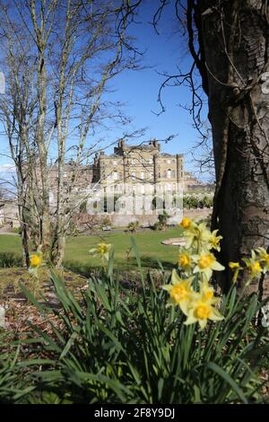 Schottland, Ayrshire, Culzean Castle & Grounds 12 Apr 2021 Stockfoto