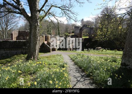 Schottland, Ayrshire, Culzean Castle & Grounds 12 Apr 2021 Stockfoto