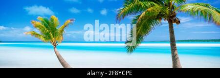 Palmen am Strand, One Foot Island, Motu, Alturaki Lagoon, Cook Islands, Südpazifik Stockfoto