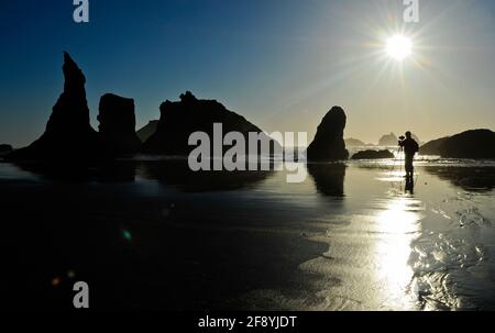 Fotograf und Seeschaufel am Bandon Beach bei Sonnenaufgang, Bandon, Oregon, USA Stockfoto