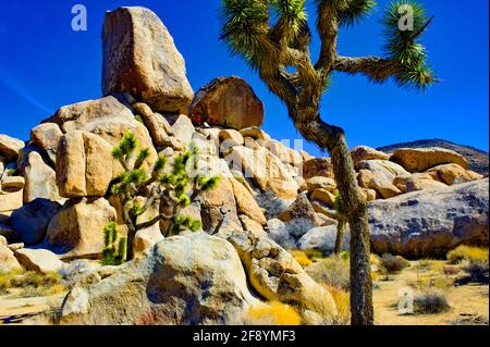 Kletterer am Grabstone Rock im Joshua Tree State Park, Kalifornien, USA Stockfoto