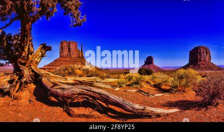 Wüstenlandschaft mit Mitten Buttes und Merrick Butte, Monument Valley, Arizona, USA Stockfoto