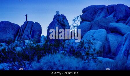 Felsformationen in der Dämmerung, Joshua Tree National Park, Kalifornien, USA Stockfoto