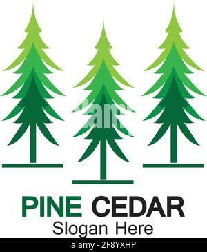 Zedernbaum Logo Vorlage Vektor Symbol Design Stock Vektor