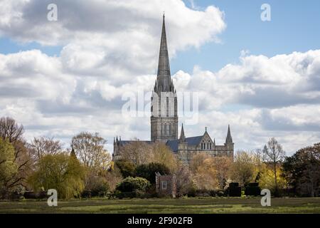 Blick auf die Salisbury Cathedral über die Wasserwiese in Salisbury, Wiltshire, Großbritannien, am 15. April 2021 Stockfoto