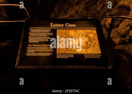 Interpretationsschild für Lower Cave entlang des Big Room Trail tief unter der Erde im Carlsbad Caverns National Park, New Mexico, USA Stockfoto