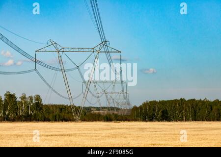 Hochspannungsübertragungsleitung und elektrische Türme (Pole) in schöner landschaftlicher Landschaft. Gelbes Weizenfeld und blauer Himmel. Stockfoto