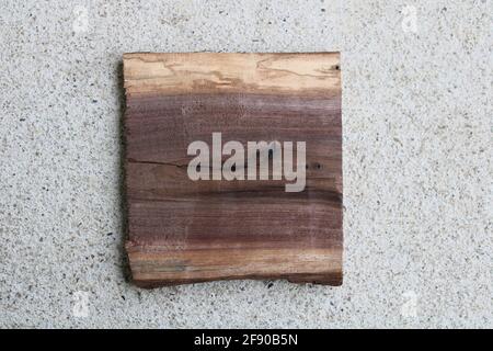 Ein kleines Stück American Black Walnut Wood Stockfoto